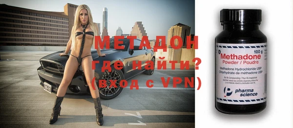 прущие грибы Алзамай