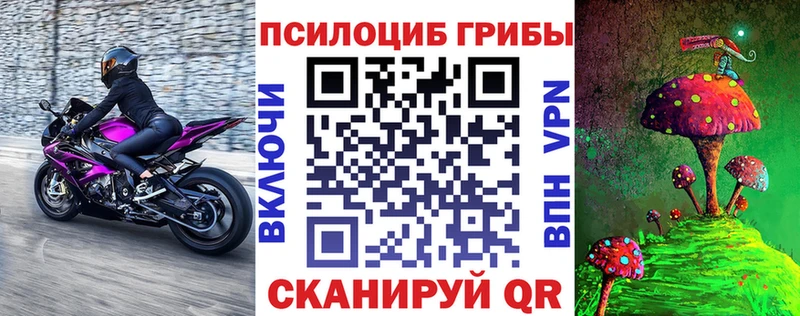 Псилоцибиновые грибы прущие грибы  Железногорск 